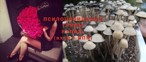 таблы Костерёво