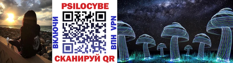 Купить  Рославль  Галлюциногенные грибы Psilocybine cubensis 
